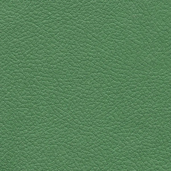 Textura de couro verde para fundo — Fotografia de Stock
