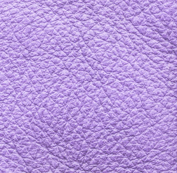Violet lederen textuur close-up — Stockfoto