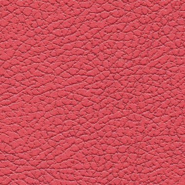 kırmızı deri doku portre