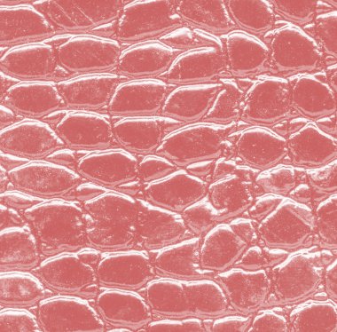 kertenkele deri desen portre parçası