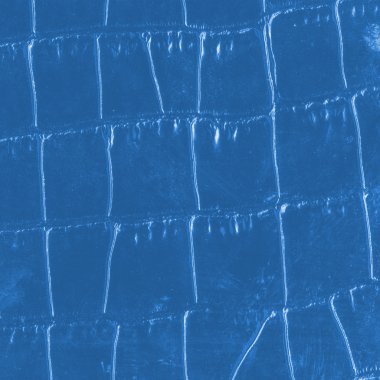 kertenkele derisi parçası mavi boyalı