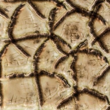 hafif kahverengi yılan deri doku parçası 