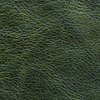koyu yeşil deri dokusu portre