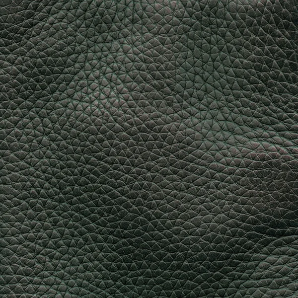 Donkere groene leder textuur close-up — Stockfoto