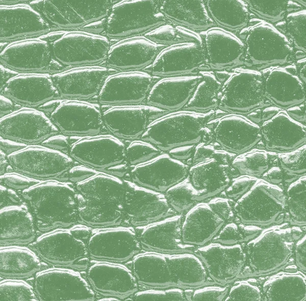 Green artificial snake skin texture — Stock Photo, Image