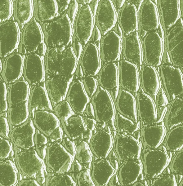 Textura de piel de serpiente artificial verde —  Fotos de Stock