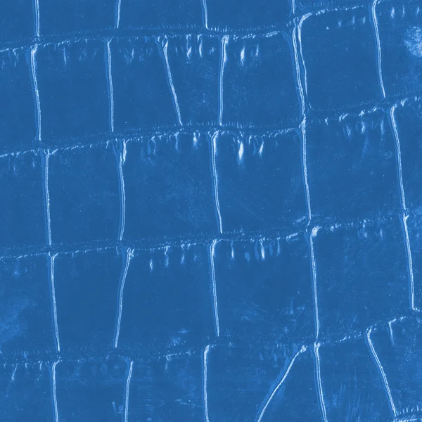 Fragment of  lizard skin painted blue — Stock Photo, Image