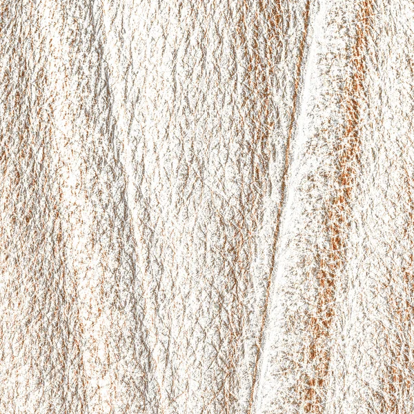 White-brown textured background — Stock Photo, Image