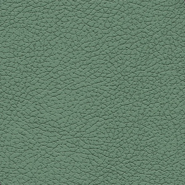 Textura de couro verde. Útil como fundo — Fotografia de Stock
