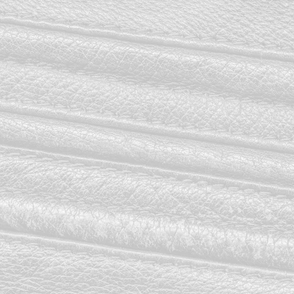 Deri dikiş beyaz artalan — Stok fotoğraf