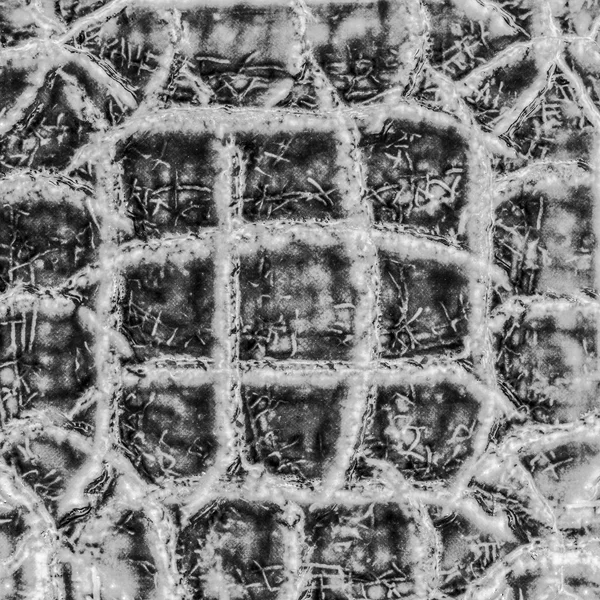 Black  snake skin pattern closeup — Stock Photo, Image