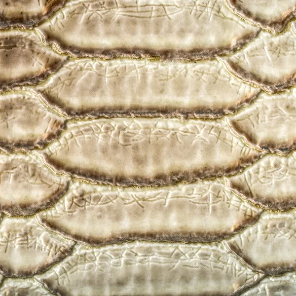 Hafif kahverengi yılan deri desen portre — Stok fotoğraf
