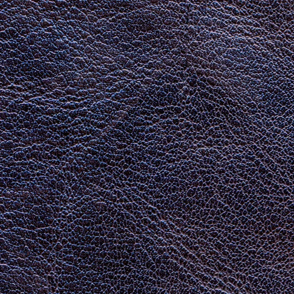 Donker blauw lederen textuur close-up — Stockfoto
