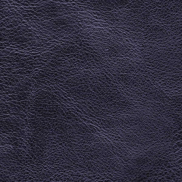 Donkere violet leder texture. Nuttig als achtergrond — Stockfoto