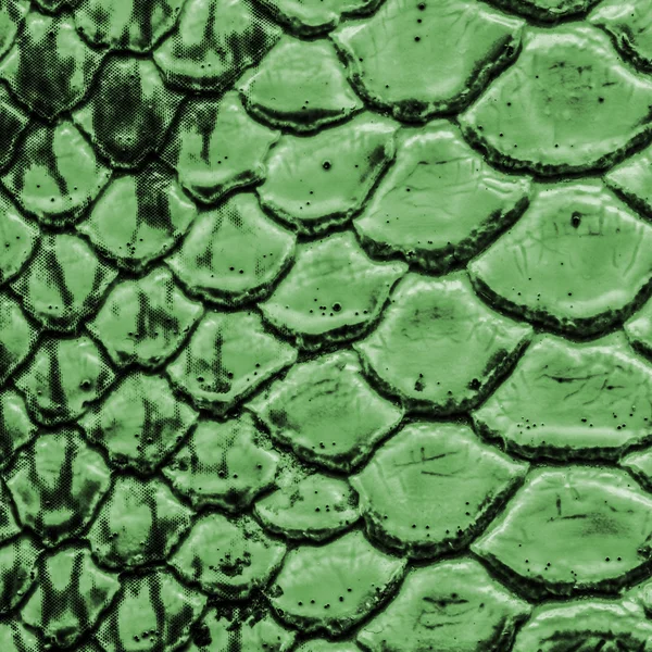 Зеленая текстура кожи змеи — стоковое фото
