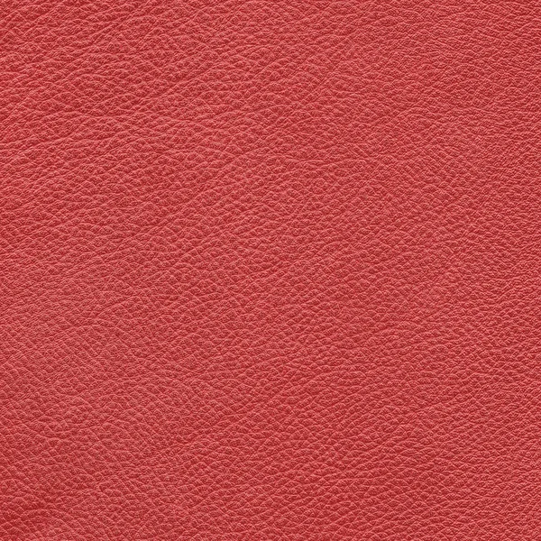 Red  leather texture as background — Stock Photo, Image