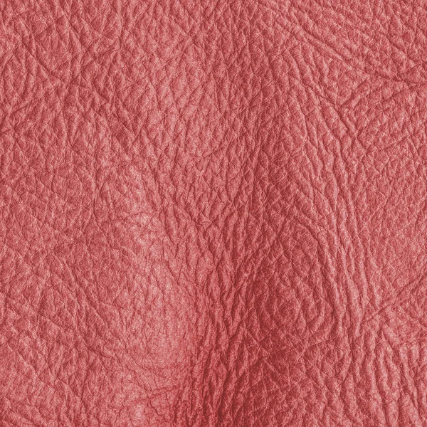 Red leather background closeup — Stock Photo, Image