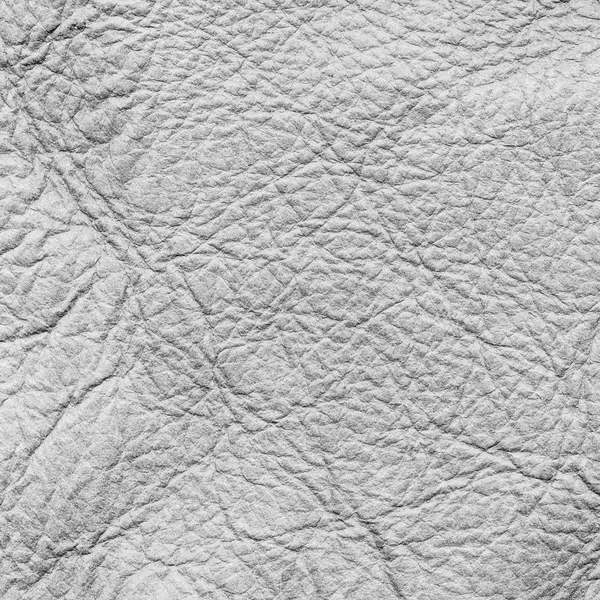 Old white leather background — Stock Photo, Image