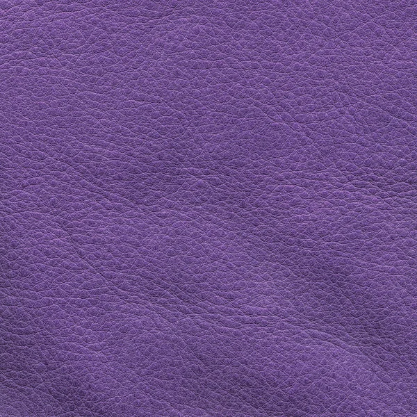 Violett läder textur närbild. — Stockfoto