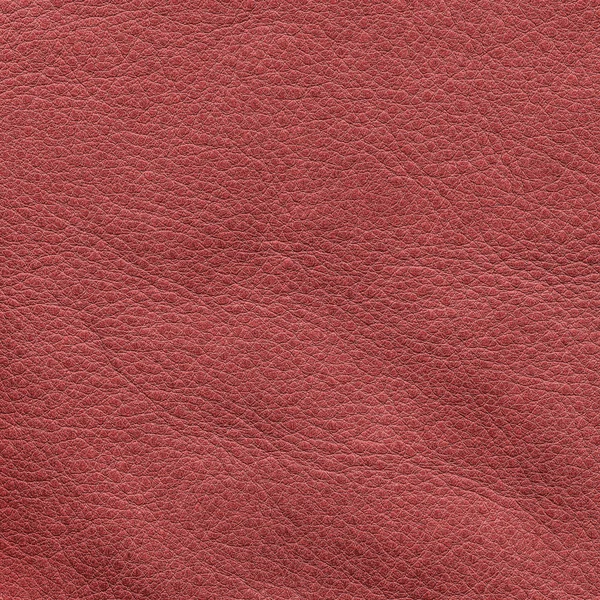 Red leather texture closeup. Useful as background — Stock Photo, Image