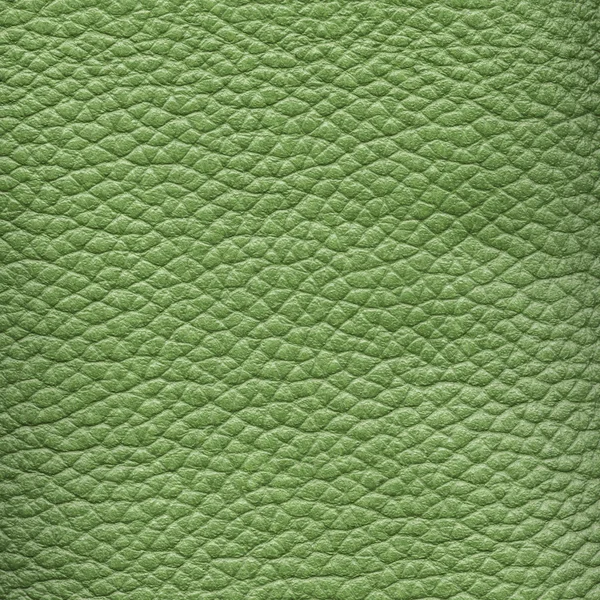 Textura de couro verde close-up — Fotografia de Stock