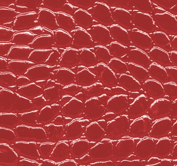 Natürliche Schlangenhaut Textur rot lackiert. — Stockfoto