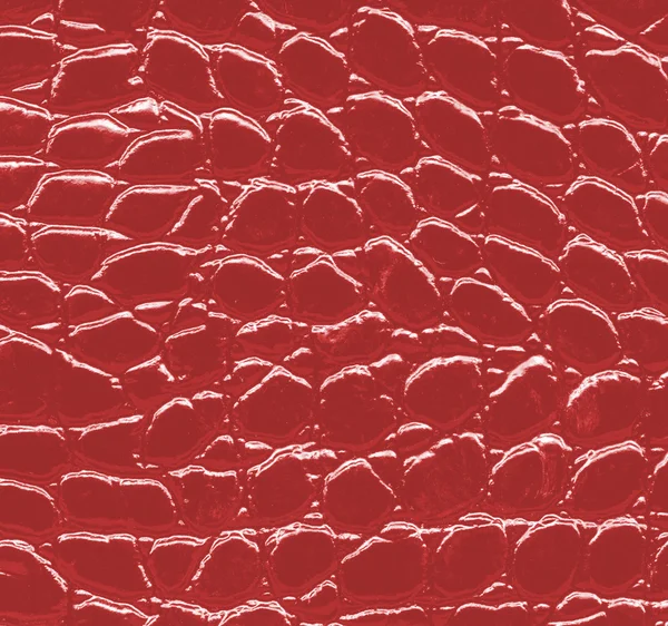 pin foto la texture della pelle on primo piano di struttura della pelle serpente rosso utile per sfondo foto stock 169 natalt pin foto la texture della pelle on primo piano di struttura della pelle serpente rosso utile per sfondo foto stock 169 natalt