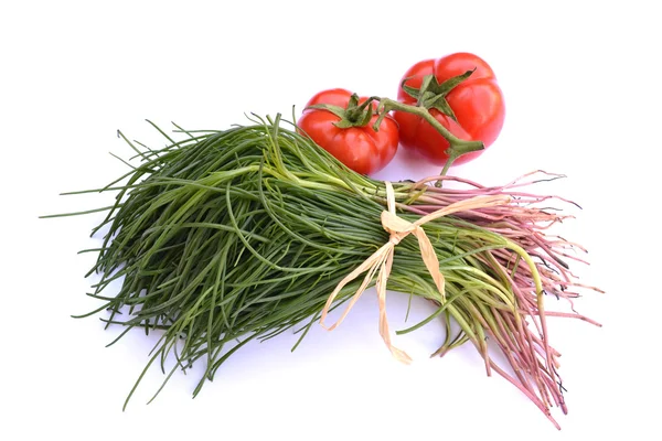 Agretti with red tomatoes — Stock Photo, Image