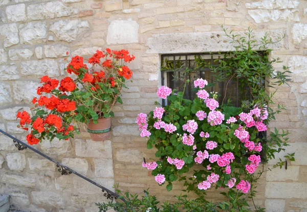 Blume am Fenster in Italien Stockfoto