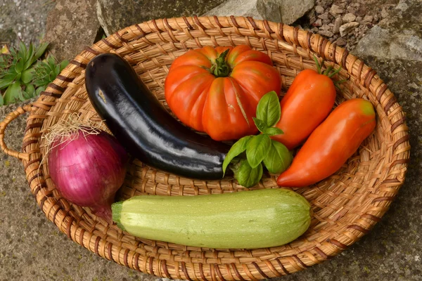 Vegetable basket in the garden — Stock Photo, Image