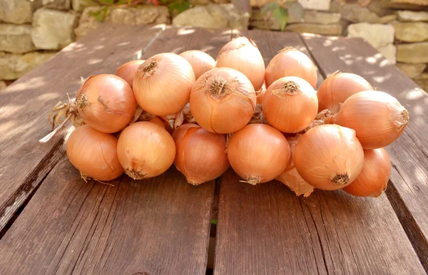 Onions — Stock Photo, Image