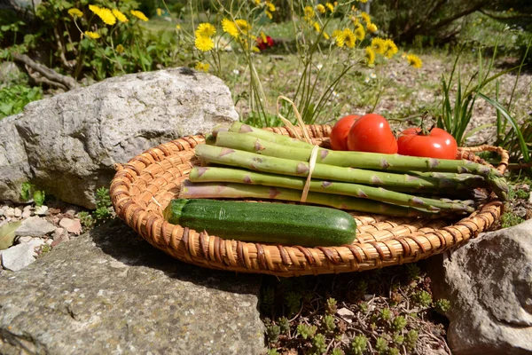 Green asparagus with tomatoes and zucchini — Stock Photo, Image