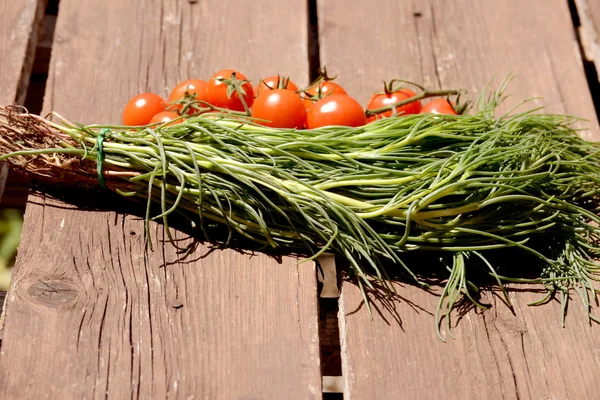 Italian vegetables — Stock Photo, Image