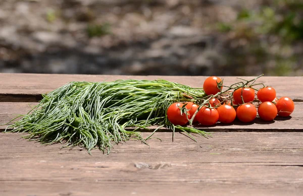 Agretti and tomatoes — Stock Photo, Image