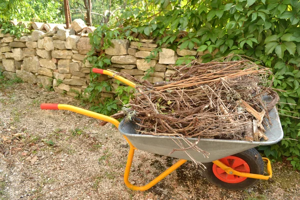 Déchets de bois dans la brouette — Photo