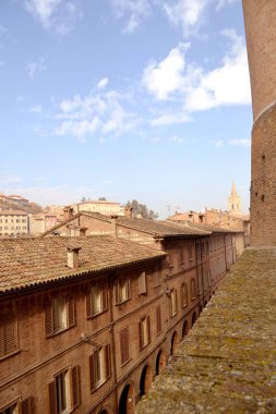 Brüksel lahanası plaka üzerinde