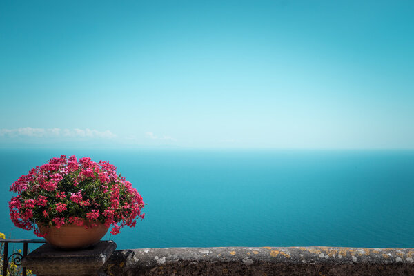 Pink flowers and bird-eye view at sea from villa Chimbrone. Amazing background for your design