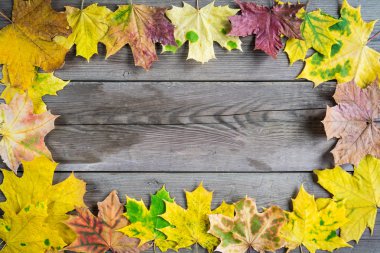 Sonbahar Yaprakları