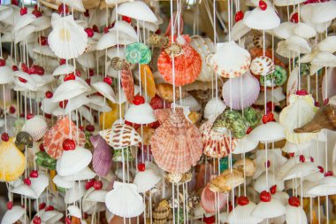 Hediyelik eşya kabukları