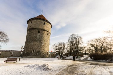 Tallinn, Estonya. De Kok 'taki Kiek, Tallinn' in surlarının ve kalelerinin bir parçası olan topçu kulesi.