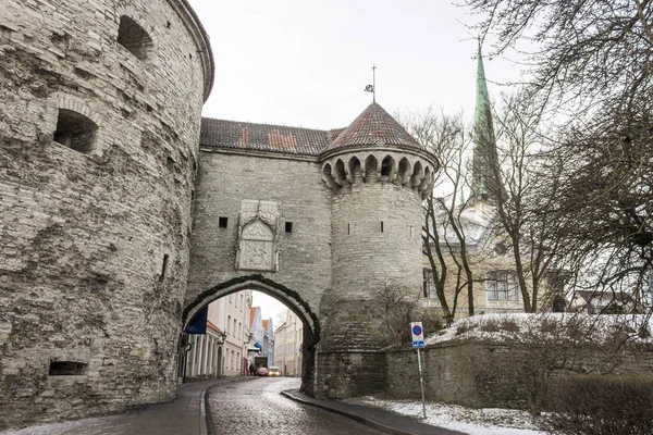 Tallinn Estonia Grassa Torre Margherita Paks Margareeta Grande Porta Costiera — Foto Stock