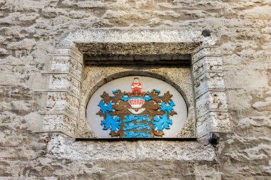 Tallinn, Estonya. Tallinn Belediyesi (Tallinna Raekoda) cephesinde Tallinn arması veya arması)