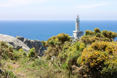 Malpica, İspanya. Punta Nariga 'daki deniz feneri, Galiçya' daki Costa da Morte 'de (Ölüm Kıyısı) manzaralı bir burundur.