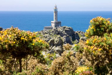 Malpica, İspanya. Punta Nariga 'daki deniz feneri, Galiçya' daki Costa da Morte 'de (Ölüm Kıyısı) manzaralı bir burundur.