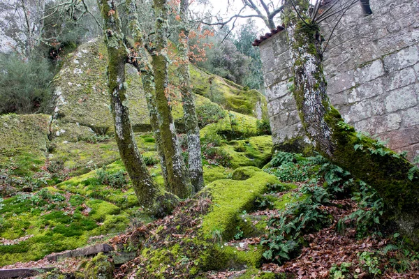 Esgos España Monasterio San Pedro Rocas Galicia —  Fotos de Stock