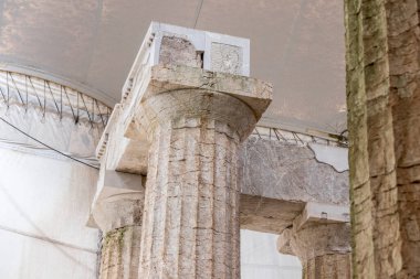 Bassae, Yunanistan. Apollo Tapınağı 'nın enkaz sütunları bir çadırın içinde.