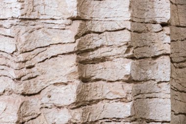 Bassae, Yunanistan. Apollo Tapınağı 'nın enkaz sütunları bir çadırın içinde.