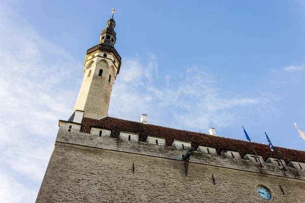 Tallin Estonia Ratusz Tallinie Tallinna Raekoda Najstarszy Ratusz Całym Regionie — Zdjęcie stockowe