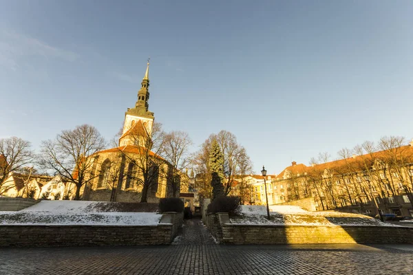 Tallin Estonia Kościół Mikołaja Niguliste Kirik Dawny Kościół Którym Obecnie — Zdjęcie stockowe