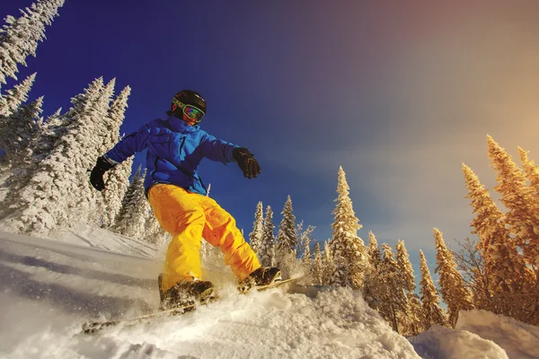 Skoki snowboardzista na snowboardzie — Zdjęcie stockowe